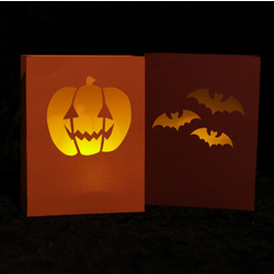 Halloween Paper Lanterns project